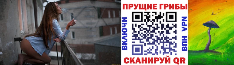 Галлюциногенные грибы Psilocybe Кодинск
